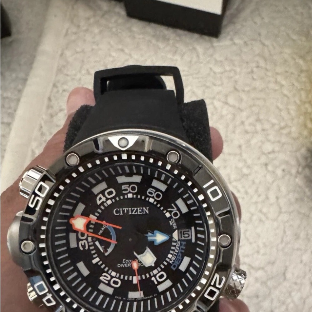 citizen promaster diver watch